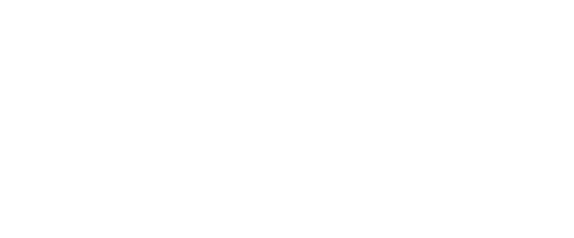 s-logo-1